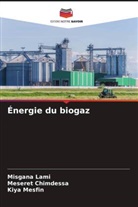 Meseret Chimdessa, Misgana Lami, Kiya Mesfin - Énergie du biogaz