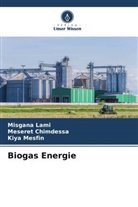 Meseret Chimdessa, Misgana Lami, Kiya Mesfin - Biogas Energie