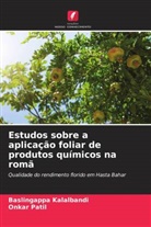 Baslingappa Kalalbandi, Onkar Patil - Estudos sobre a aplicação foliar de produtos químicos na romã