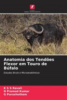 D Pramod Kumar, D. Pramod Kumar, G Purushotham, G. Purushotham, K S S Ravali - Anatomia dos Tend&otilde;es Flexor em Touro de B&uacute;falo