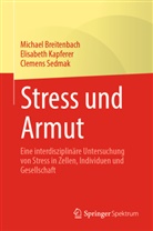 Breitenbach, Michael Breitenbach, Elisabeth Kapferer, C Sedmak, Clemens Sedmak - Stress und Armut