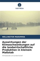 Wellington Madumira - Auswirkungen der Klimaschwankungen auf die landwirtschaftliche Produktion in kleinem Maßstab