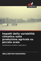 Wellington Madumira - Impatti della variabilità climatica sulla produzione agricola su piccola scala