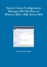 Cesar Peinado Villegas - System Center Configuration Manager 2012 Sp1 Beta en WServer 2012 y SQL Server 2012