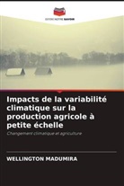 Wellington Madumira - Impacts de la variabilité climatique sur la production agricole à petite échelle
