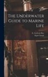 Elgin Ciampi, G. Carleton Ray - The Underwater Guide to Marine Life