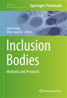 Julian Kopp, Spadiut, Oliver Spadiut - Inclusion Bodies