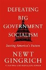 Newt Gingrich, Gingrich Newt - Defeating Big Government Socialism