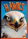 Lydia Lukidis - Hawks