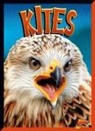 Janet Davis-Castro - Kites