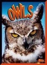 Janet Davis-Castro - Owls