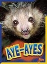 Gail Terp - Aye-Ayes