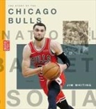 Jim Whiting - The Story of the Chicago Bulls