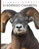 Kate Riggs - El Borrego Cimarrón