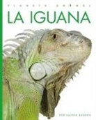 Valerie Bodden - La Iguana