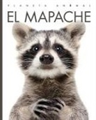 Valerie Bodden - El Mapache