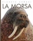Kate Riggs - La Morsa