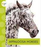 Alissa Thielges - Appaloosa Horses