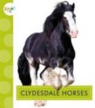 Alissa Thielges - Clydesdale Horses