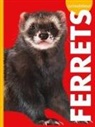 Alissa Thielges - Curious about Ferrets