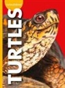 Alissa Thielges - Curious about Turtles