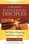 Sherry A Weddell, Sherry A. Weddell - Forming Intentional Disciples
