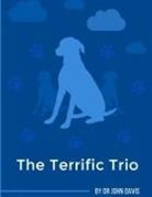 John Davis - The Terrific Trio