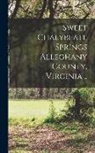 Anonymous - Sweet Chalybeate Springs Alleghany County, Virginia