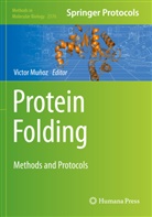 Victor Muñoz - Protein Folding