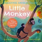 Anne Rooney, Carolina Rabei, Rabei Carolina - Amazing Animal Tales: Little Monkey