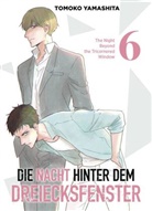 Tomoko Yamashita - Die Nacht hinter dem Dreiecksfenster - The Night Beyond the Tricornered Window 06