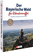 Christiane Maier - Der Bayerische Wald für Wandermuffel