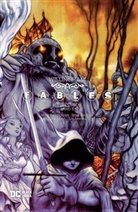 Mark Buckingham, Dan Green, David Hahn, Steve Leialoha, Lan Medina, Andrew Pepoy... - Fables (Deluxe Edition)