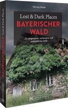 Herwig Slezak, Herwig Slezak - Lost & Dark Places Bayerischer Wald