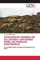 Isa Torrealba Suárez - COMUNIDAD MINERA DE OLLACHEA: OPCIONES PARA UN MANEJO SOSTENIBLE