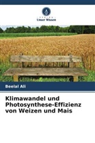 Beelal Ali - Klimawandel und Photosynthese-Effizienz von Weizen und Mais