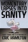 Eric Hamilton - Momentary Lapses into Sanity