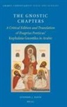 Stephen J Davis, Stephen J. Davis - The Gnostic Chapters