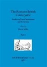 David Miles - The Romano-British Countryside, Part ii