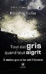 Benjamin Valliet, Valliet-b - Tout est gris quand tout aigrit