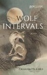 Graham Hillard - Wolf Intervals