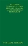 Cundari Alfredo - SISTEMI DI TRASPORTO PER IL RILASCIO ORALE DI MACROMOLECOLE BIOLOGICHE