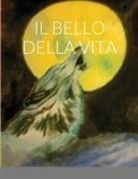 Fabrizio Belvisi - IL BELLO DELLA VITA