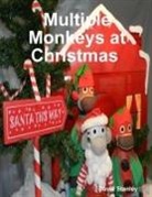 David Stanley - Multiple Monkeys at Christmas