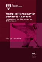 Cagla Umsu, Cagla Umsu-Seifert - Olympiodors Kommentar zu Platons Alkibiades