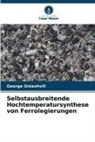 George Oniashvili - Selbstausbreitende Hochtemperatursynthese von Ferrolegierungen
