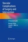 Ramyar Gilani, L Mills Sr, Joseph L. Mills Sr. - Vascular Complications of Surgery and Intervention