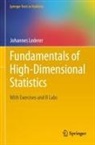 Johannes Lederer - Fundamentals of High-Dimensional Statistics
