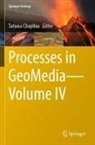 Tatiana Chaplina - Processes in GeoMedia-Volume IV