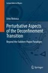 Urko Reinosa - Perturbative Aspects of the Deconfinement Transition